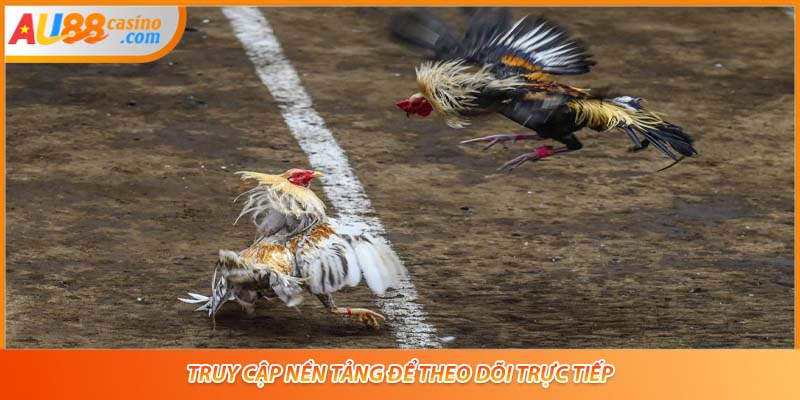 Truy cập nền tảng để theo dõi trực tiếp